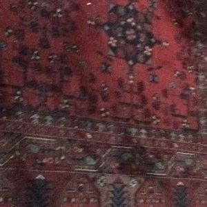 Meet your Posher, Kate